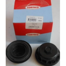 19036731B CORTECO 50x81x11,5 CSFT PTFE Paraolio