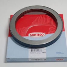 19034607B CORTECO 125x160x17 RWDR-K7 FPM Paraolio