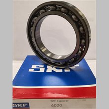 6020 SKF 100x150x24