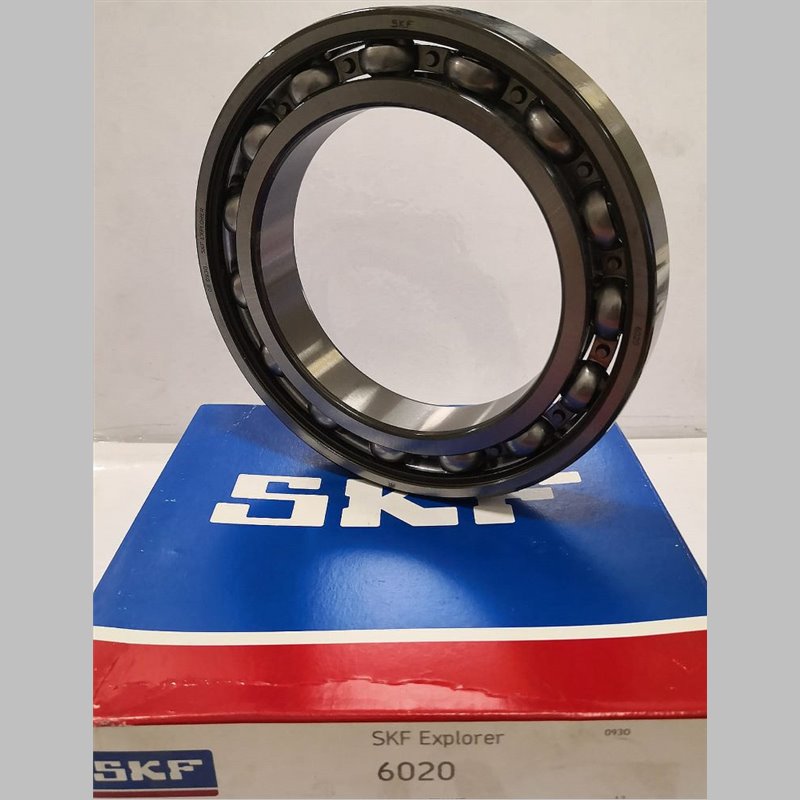 6020 SKF 100x150x24