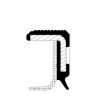 20034028B CORTECO 100x130x11 BAPTSLVRS PTFE Paraolio CORTECO