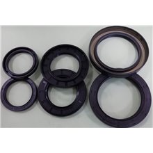 Paraolio NBR  100x125x10 A