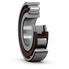 N 204 ECP SKF 20x47x14