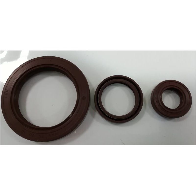 Paraolio VITON  16X26X7 A