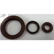 Paraolio VITON  280X320X20 A