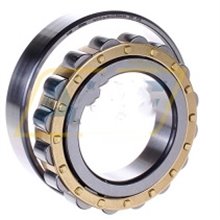 N309-E-XL-M1 FAG 45x100x25